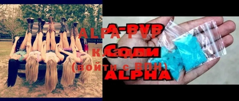 закладка  Чердынь  Alpha PVP СК 